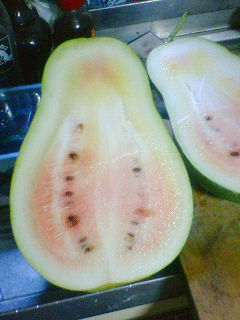 ひょうたんスイカ？