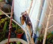 本日の大発見(<br />
 笑)