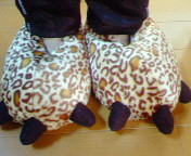 さっそく防寒。