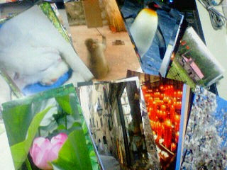 写真ハガキ１００枚