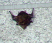 200610221555000_1