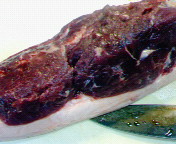 20061208