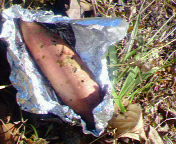 Nec_0208_1